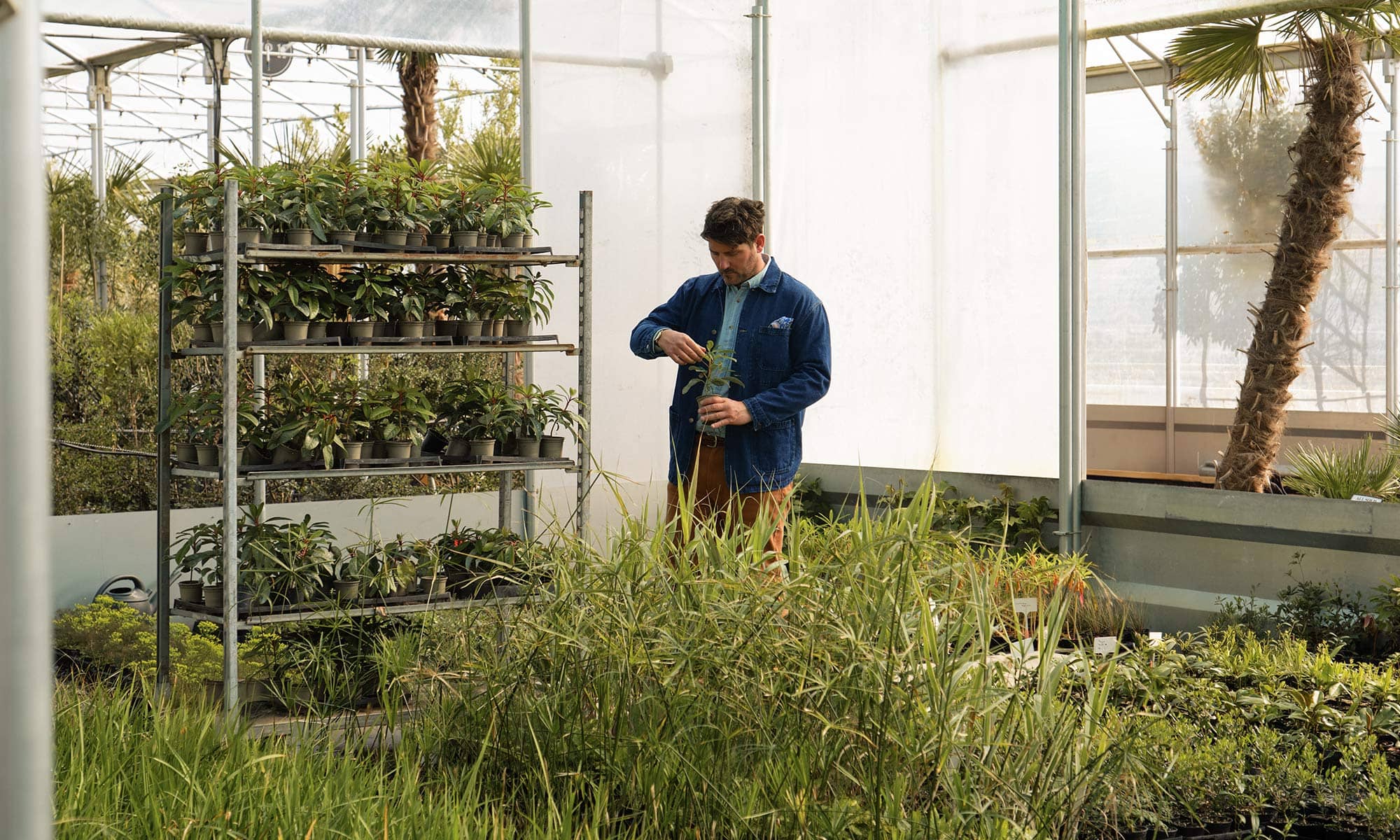 Guy working in polytunnel
